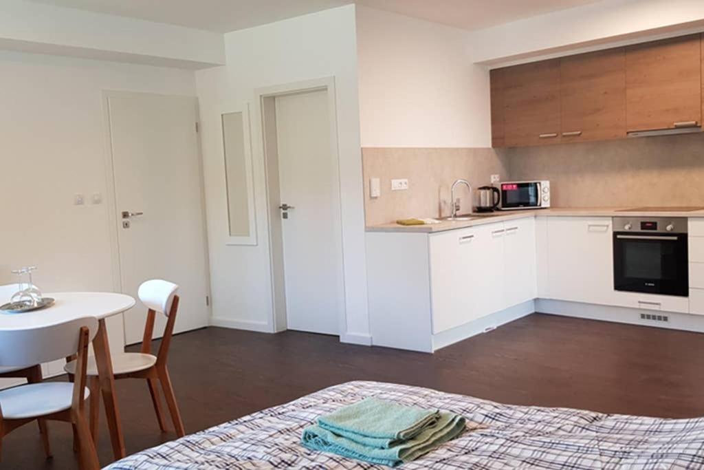 Suite With Back Garden Karlovy Vary Luaran gambar